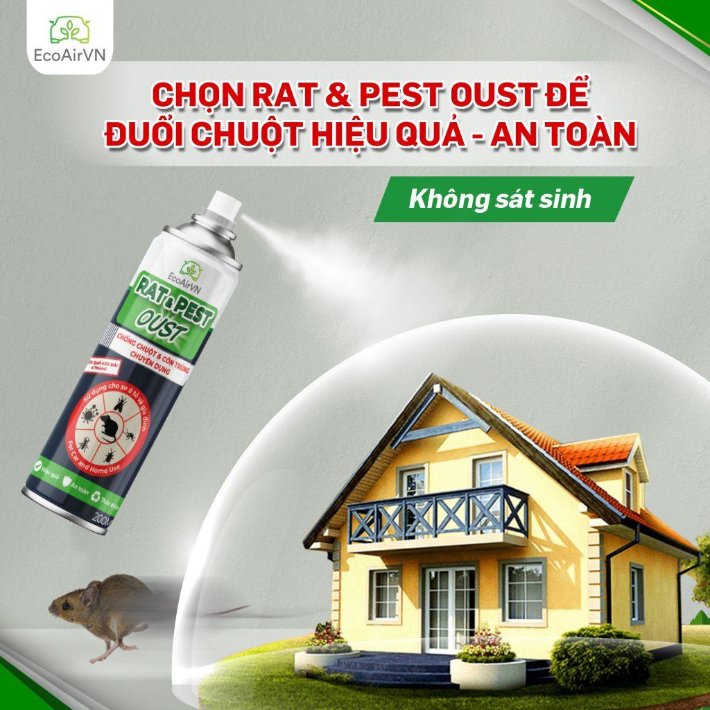 Tưởng khó mà dễ: đuổi chuột nhà, chuột xe đi sạch