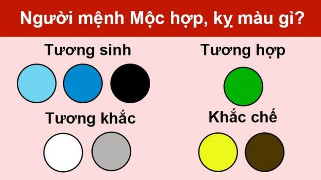 10 loại đá phong thủy khiến người mệnh Mộc thăng hoa với phúc lộc